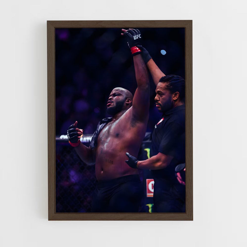 Poster The Undertaker's Fury – affiche MMA (vue 5)